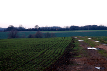 Looking north from Mill Road to the site of Netherstead December 2009